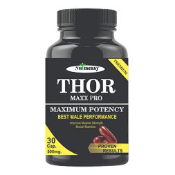 Thor Maxx Pro